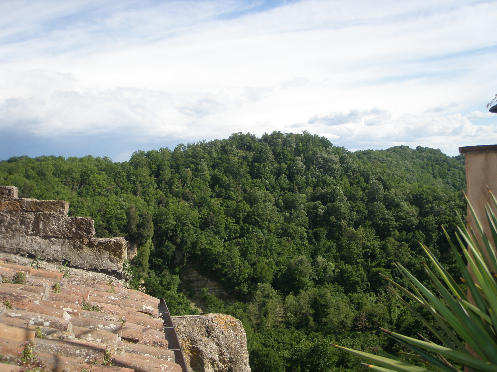 Beautiful views - My, The photo, Landscape, Town, Longpost