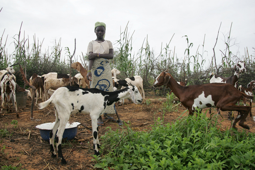 Interesting facts about Niger - Facts, Africa, Longpost, 