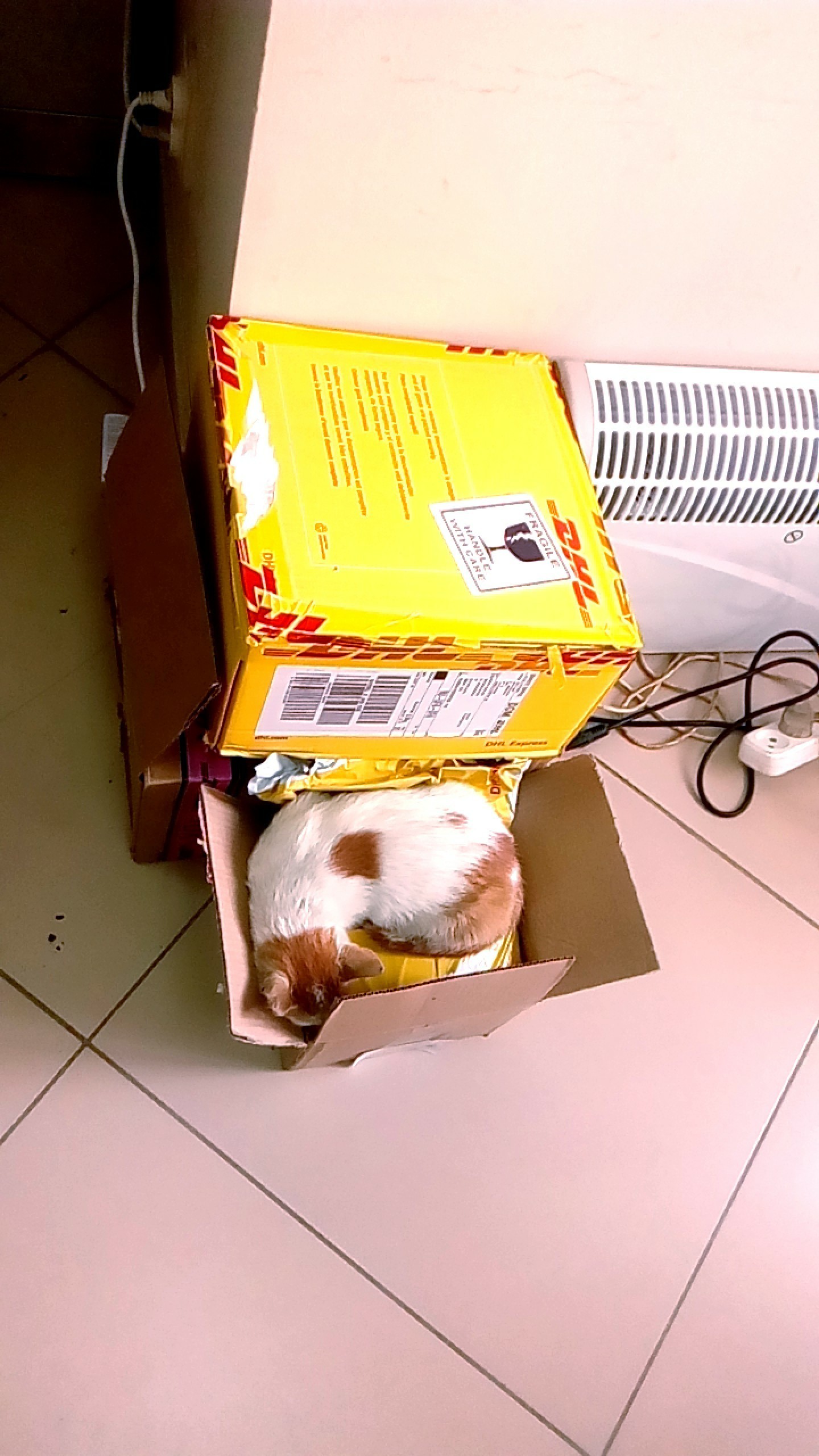 Sent by mail :) - Post office, cat, Longpost