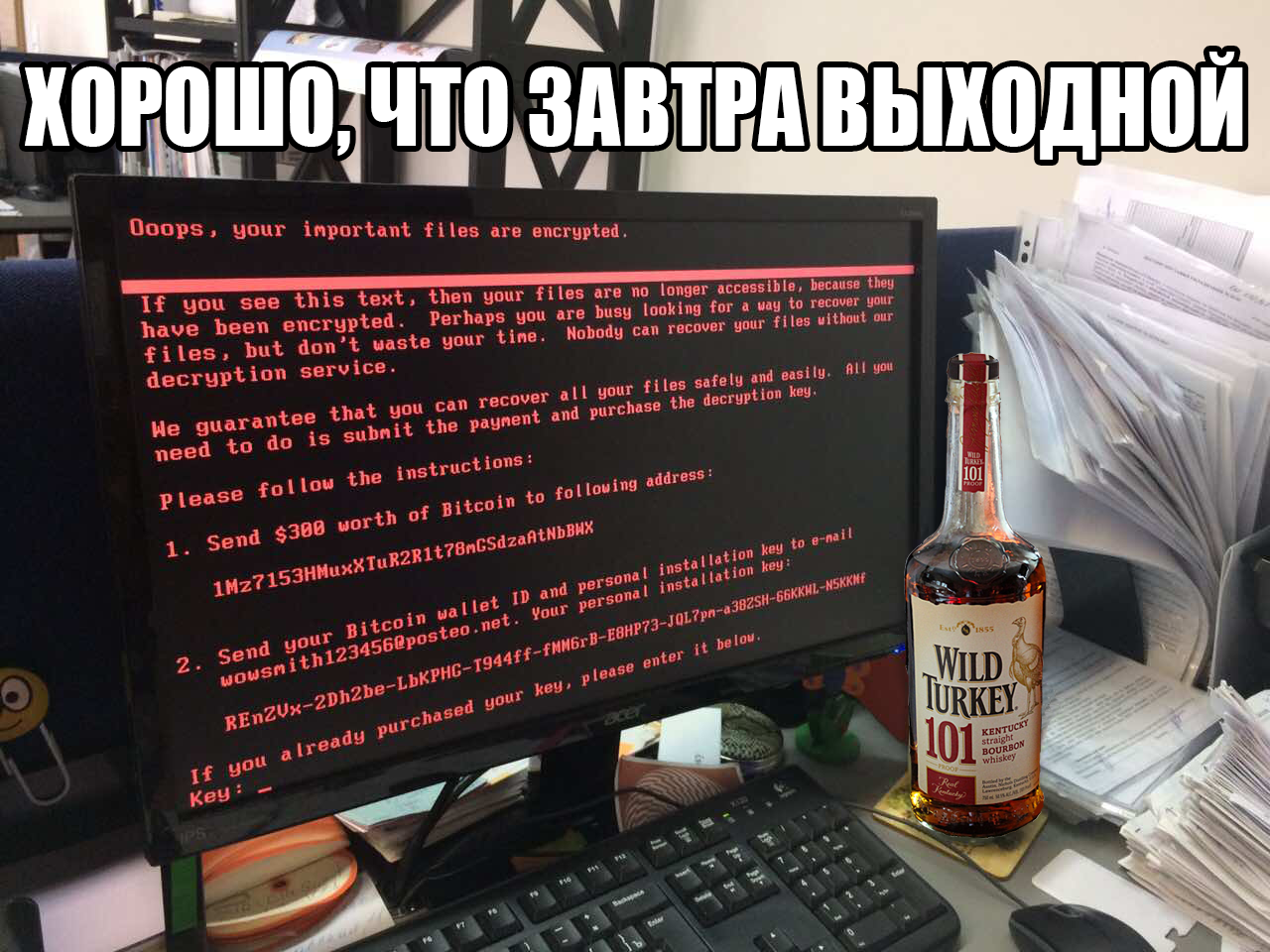 Soon there will be no alcohol left in stores - Weekend, Virus, Petya