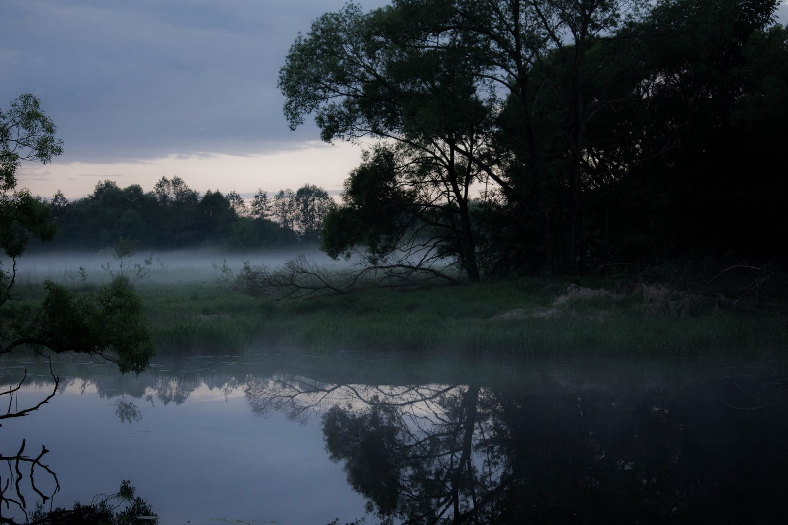 Fog on the lake - My, The photo, Nature, Evening, Fog, Lake, beauty, Longpost