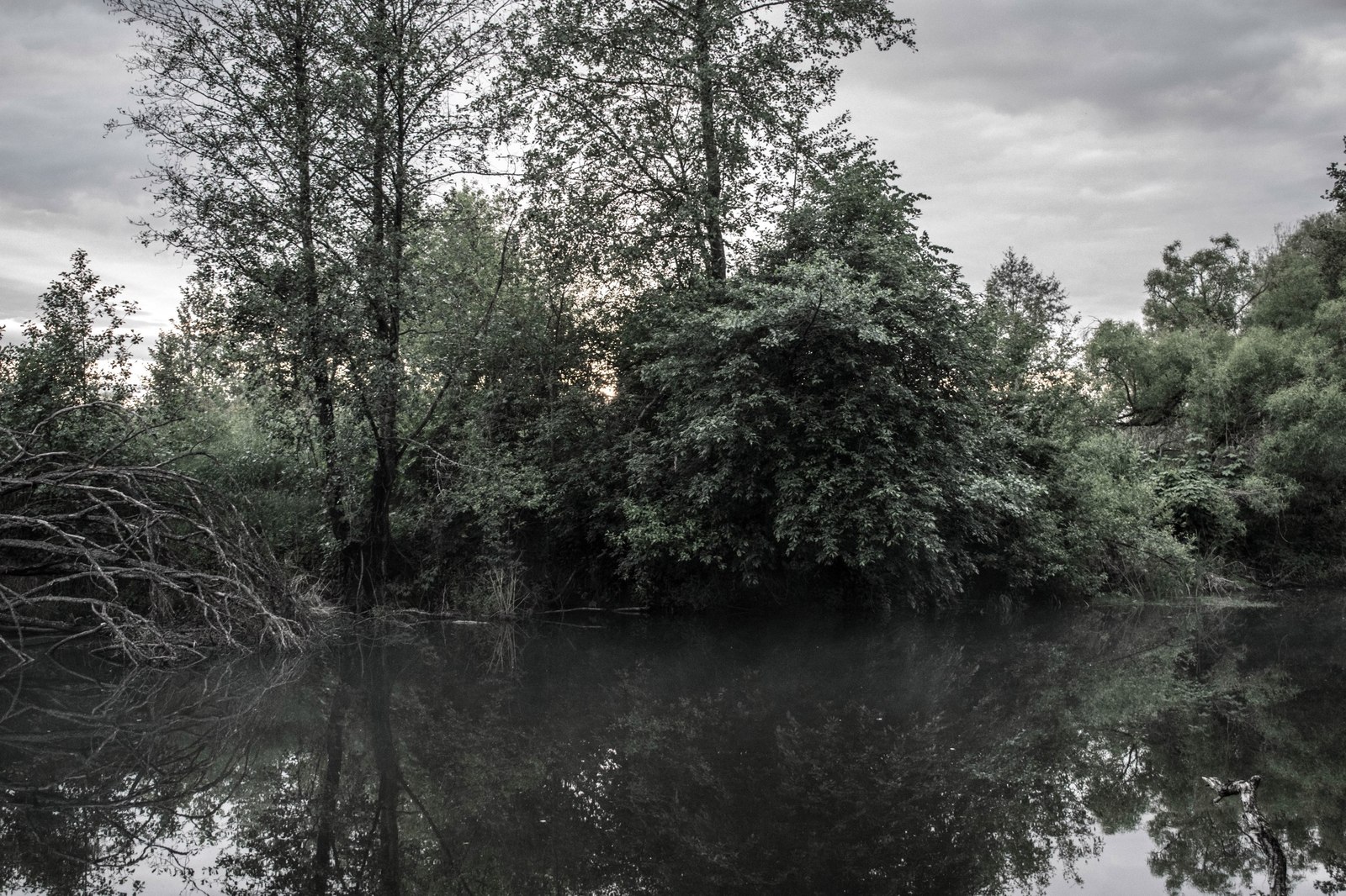 Fog on the lake - My, The photo, Nature, Evening, Fog, Lake, beauty, Longpost