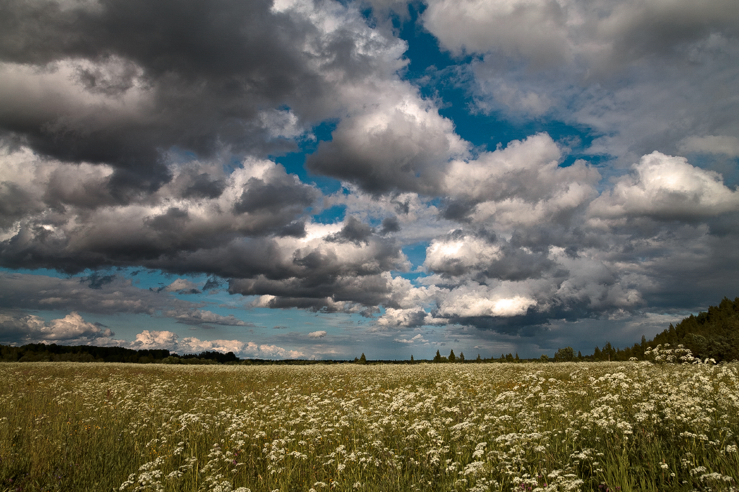 Clouds. - My, The photo, The clouds, Field, Nature