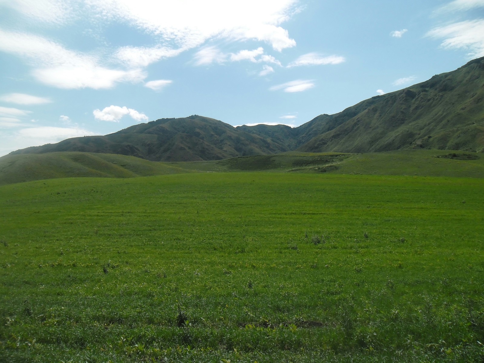 Kazakhstan. Alma-Ata's region. Alakol region. - My, Nature, Kazakhstan, The photo