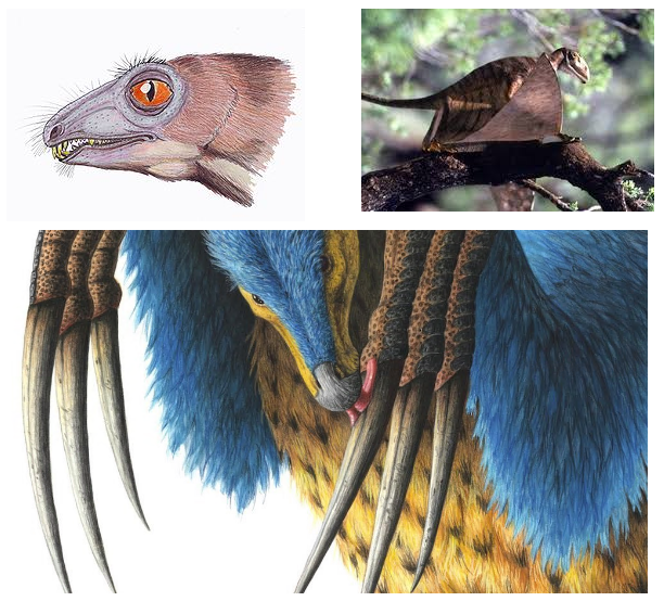 Доисторический мех (ТОП10 мохнатых доисторических зверей) Пикабу