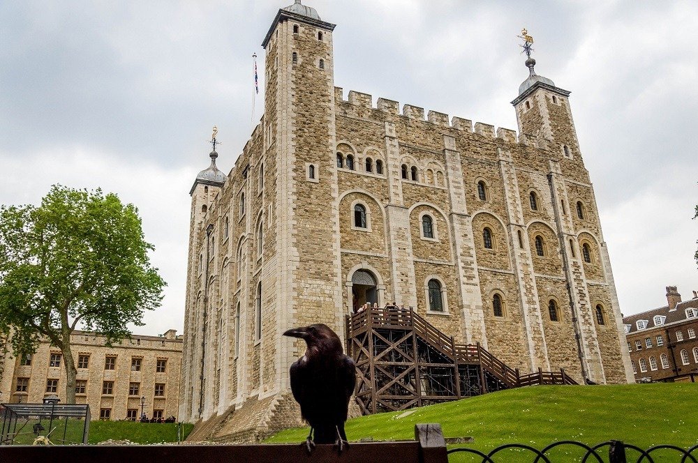 Ravens of the Tower. - Crow, England, Tower, Legend, White Tower, Longpost