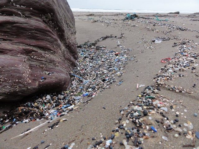 Rob Arnold - collected 35 bags of garbage and sorted it. It turned out pretty interesting. - The photo, Longpost, Garbage, Beach, Bags, Interesting