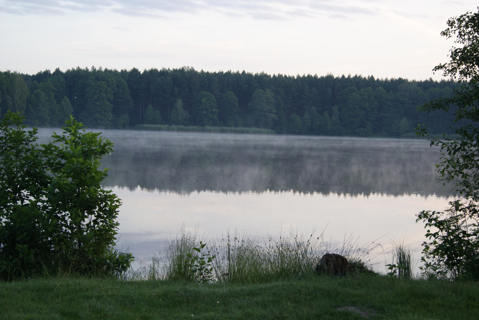 Soulful place. One of my stories... - My, Nature, Lake, PVD, Summer, Hike, Longpost