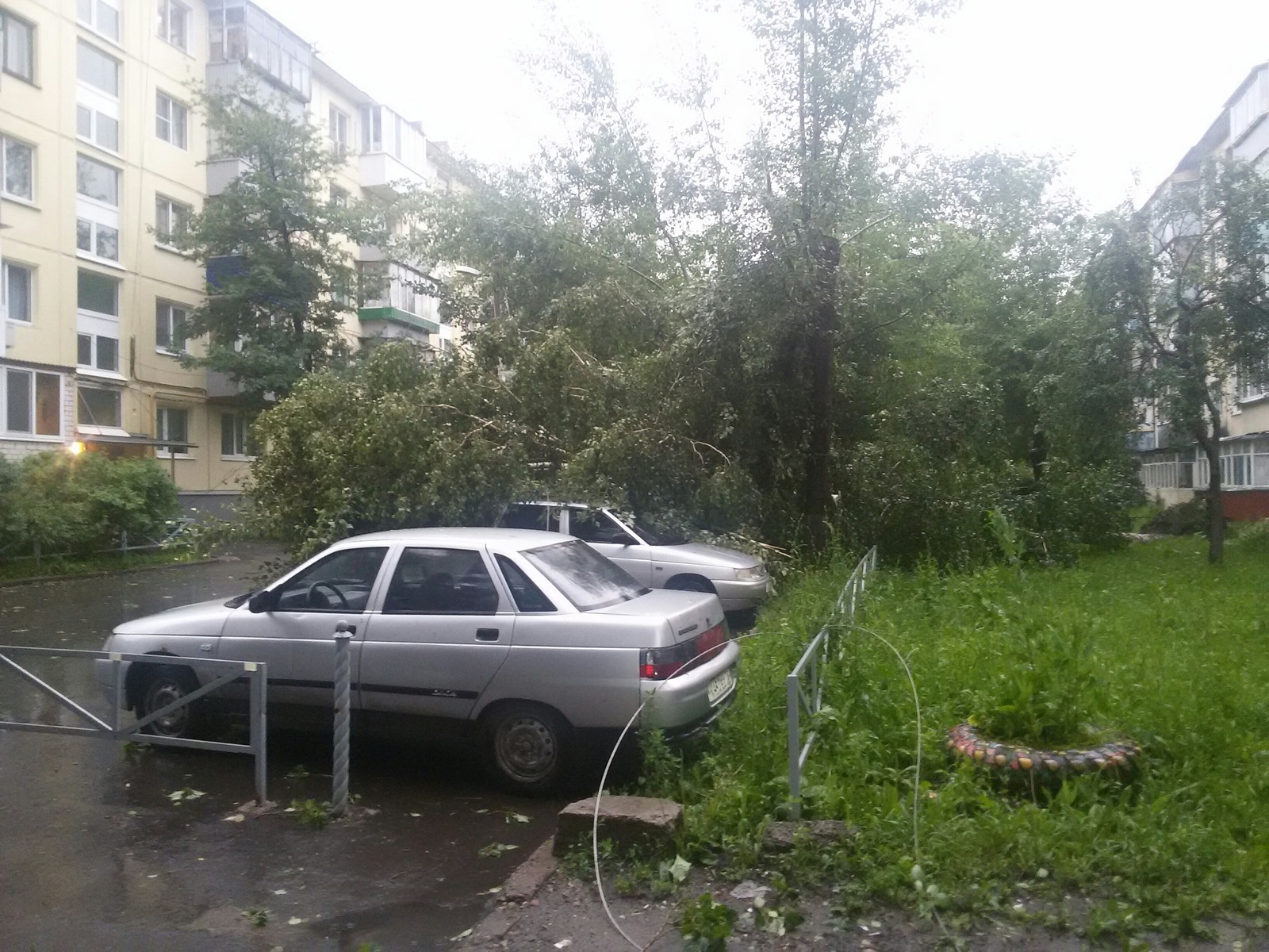 Matizik hid from the rain. - My, Ulyanovsk, Summer, Hurricane