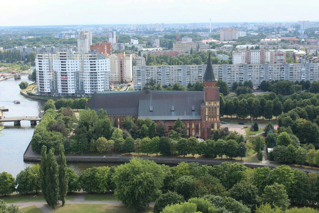 Nostalgia for a Baltic vacation - My, Kaliningrad, Vacation, Baltika, Svetlogorsk, Longpost, 