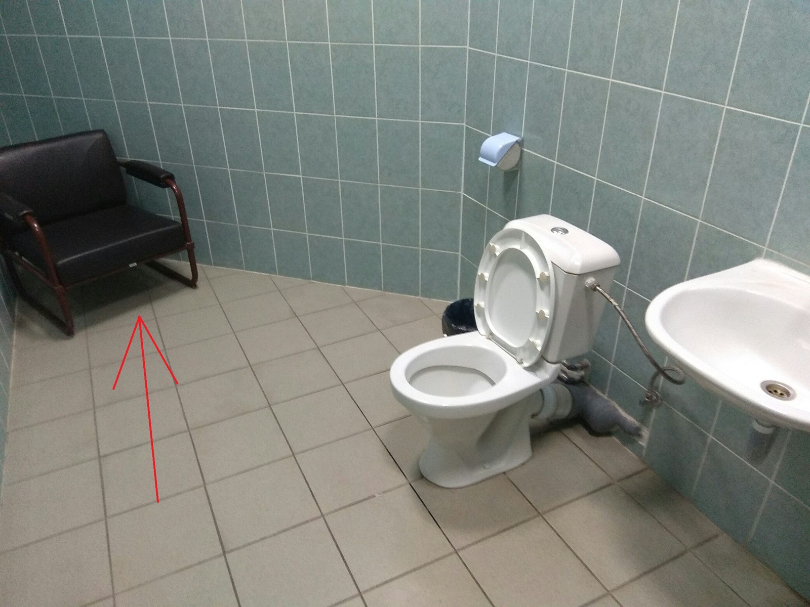 Belarusian service - Toilet, Public toilet, 