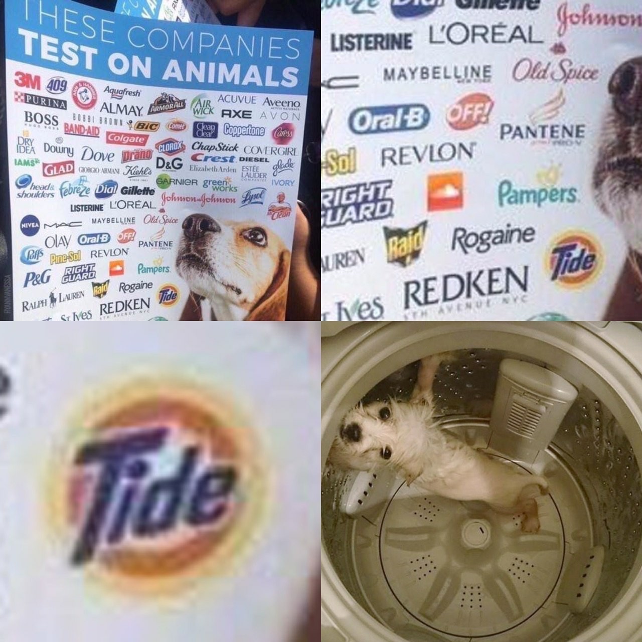 These companies test their products on animals. - Animals, Dog, Memes, Longpost