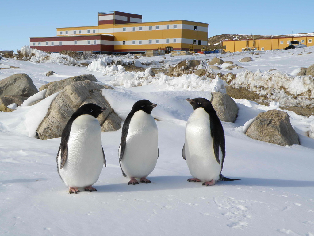 Antarctic buildings - My, Antarctica, Building, Chatting in Internet, , Longpost, 