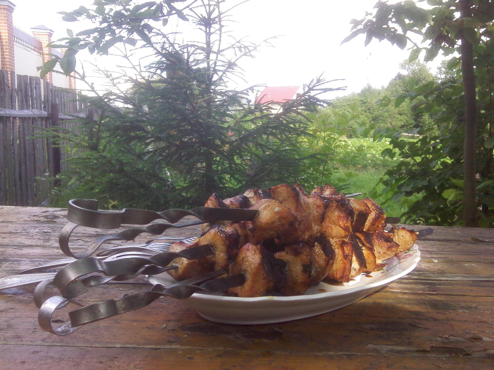 Barbecue everyone! - My, Shashlik, The photo, beauty