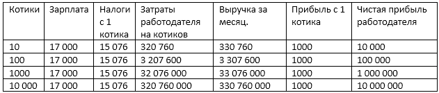 О МРОТЕ на котиков и работников. - Моё, Кот, МРОТ, Моё, Текст, Длиннопост