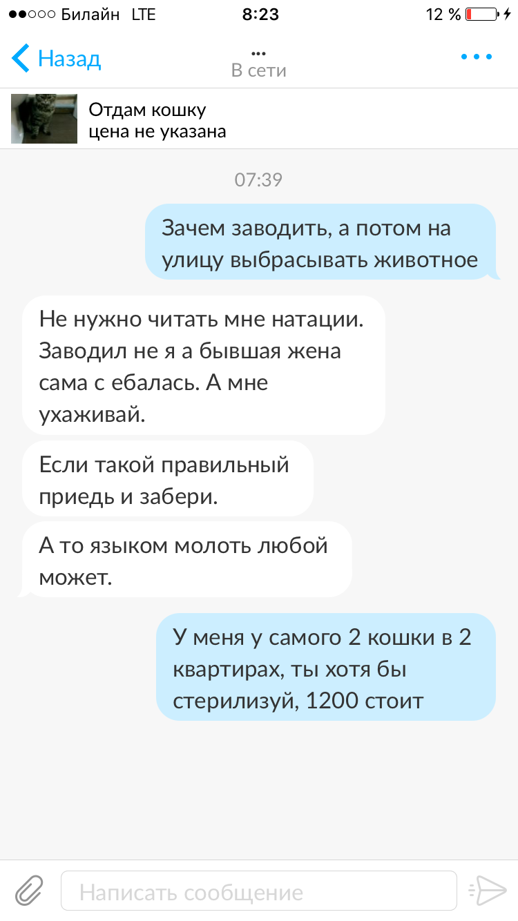 Никогда не пойму таких людей - Самара, Кот, Авито, В добрые руки, Длиннопост