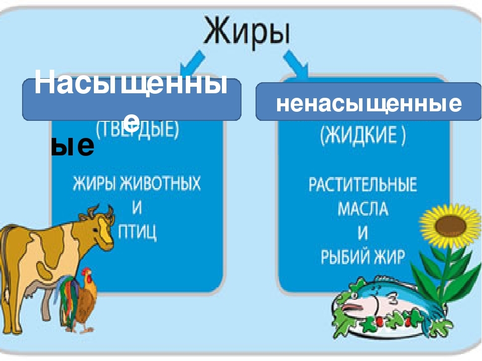 Мифы о пользе продуктов - Моё, Спорт, Тренер, Программа тренировок, Похудение, Питание, Правильное питание, Спортивные советы, Здоровье, Длиннопост