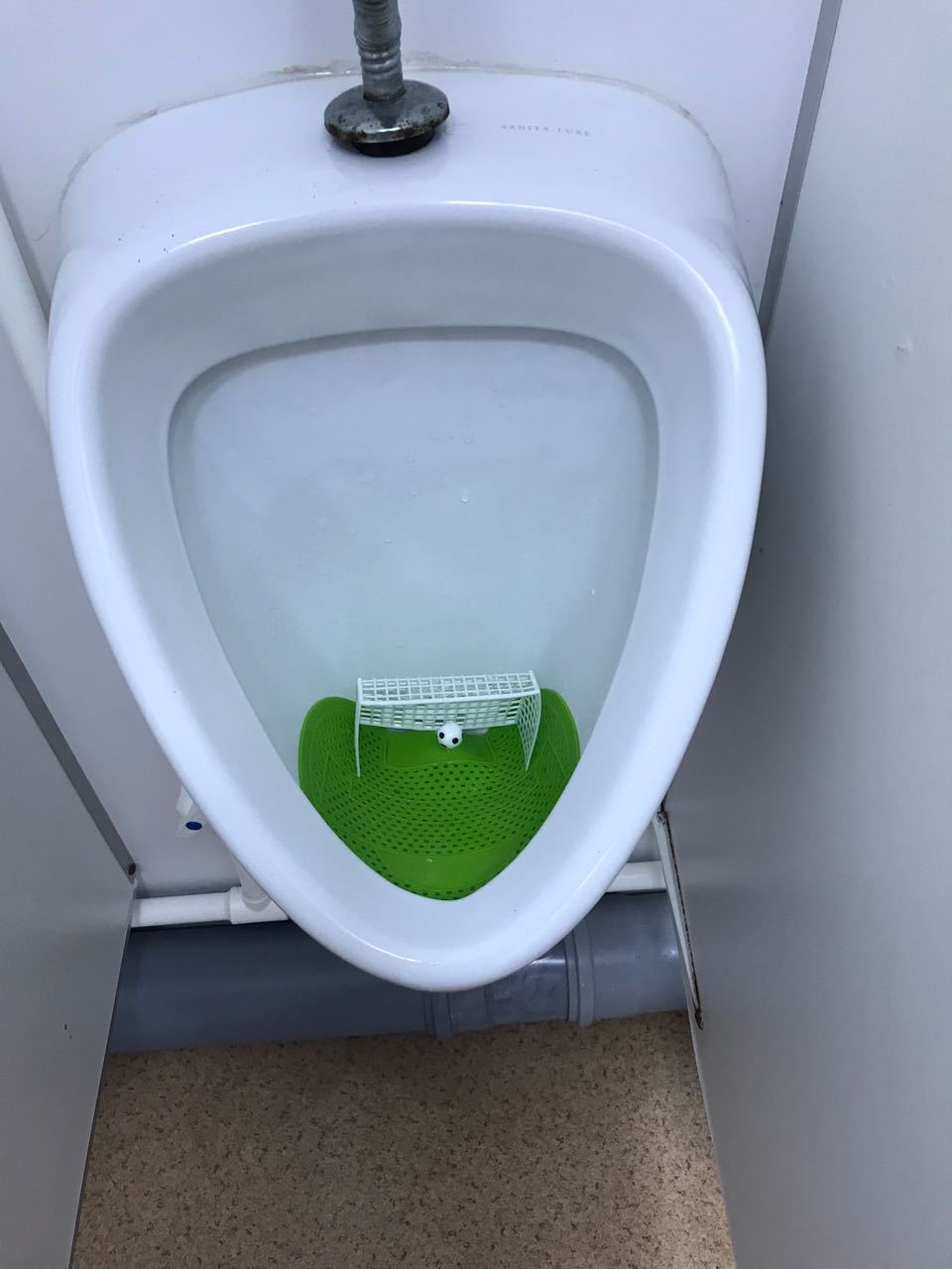 Ready for the 2018 World Cup.. Toilets in the Olympic Park in Sochi. - My, World championship, Sochi, A shame, Olympic Park, Toilet