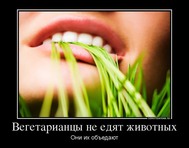 VEGETARIANISM. WHO IS FOR, WHO IS AGAINST? PZHSTA COMMENTS - My, Vegetarianism, 