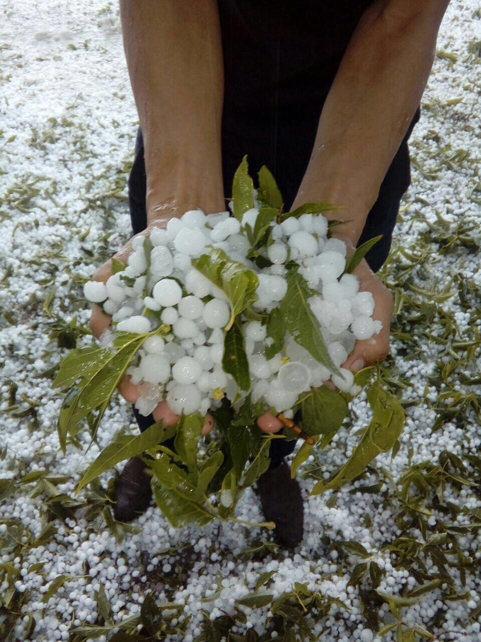 Winter came 07/11/2017 - Kazakhstan, Winter, Longpost, Snow