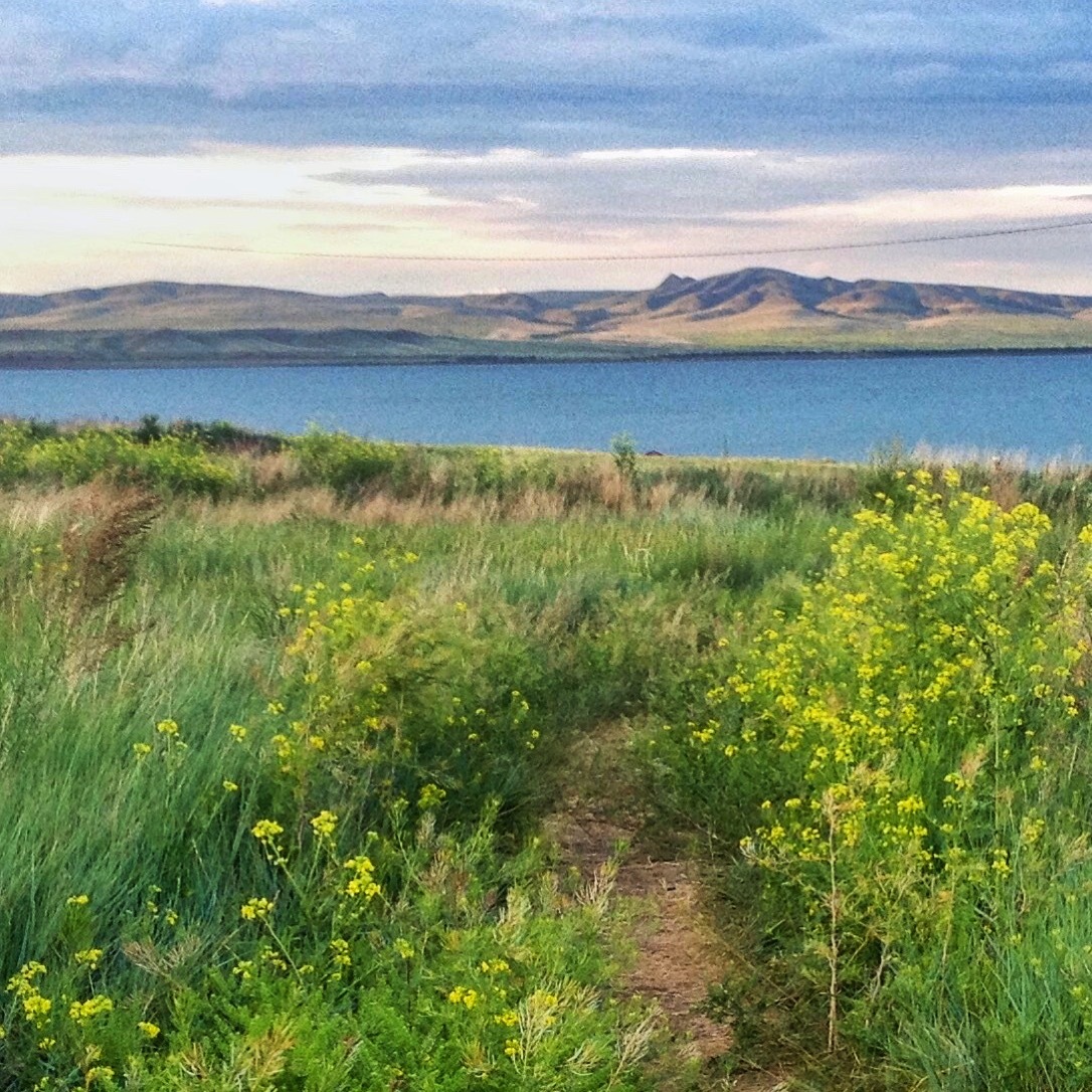 Republic of Khakassia, Lake Shira - My, , , , , Hello reading tags, Longpost, Nature