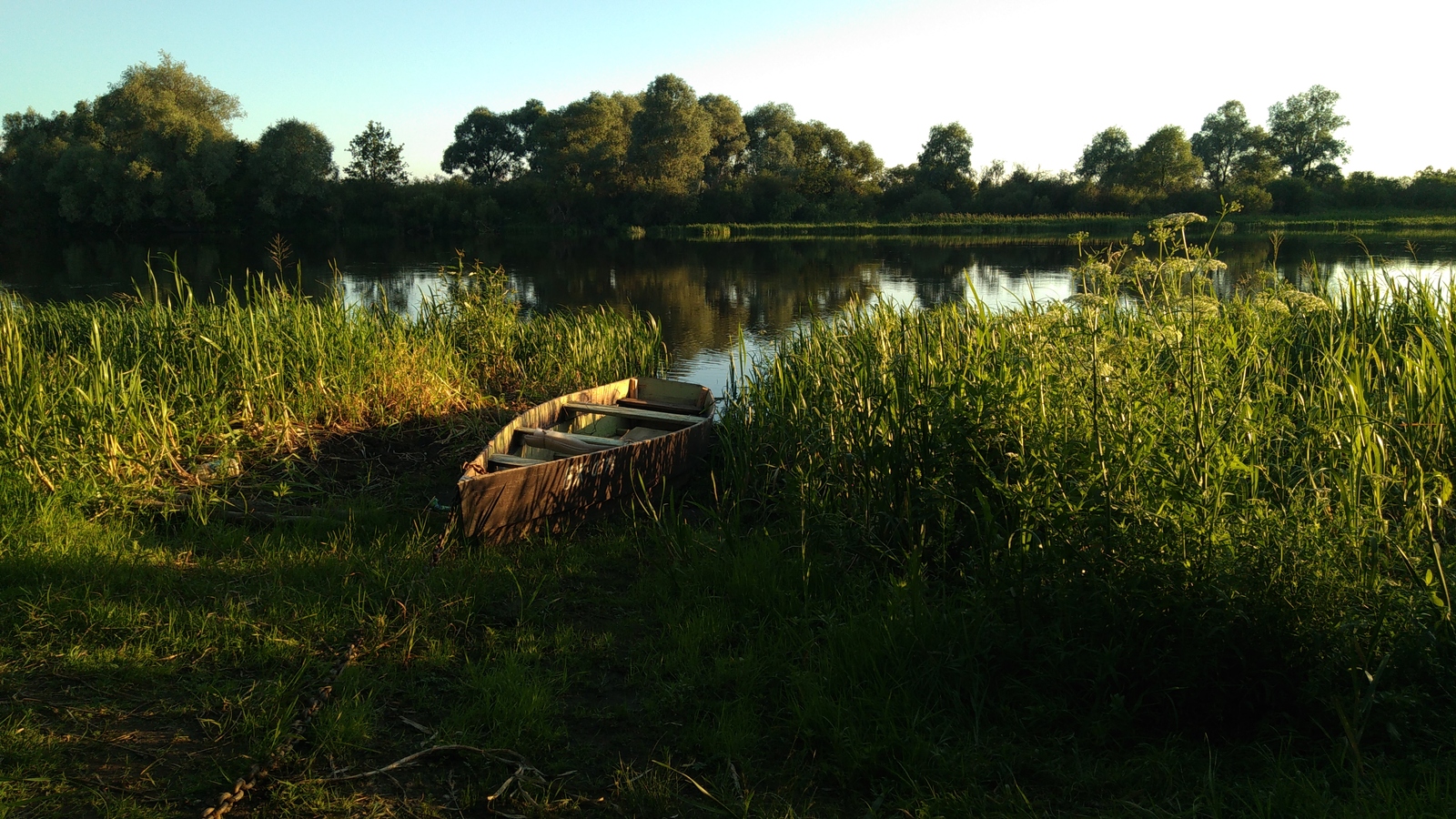 We are not well fed here either. - My, My, Nature, Relaxation, Republic of Belarus, Hunting lodge, , Longpost