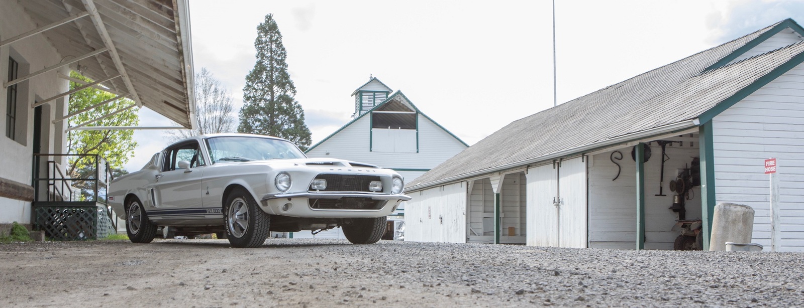 1968 Shelby GT 500 найден спустя 40 лет после угона! | Пикабу