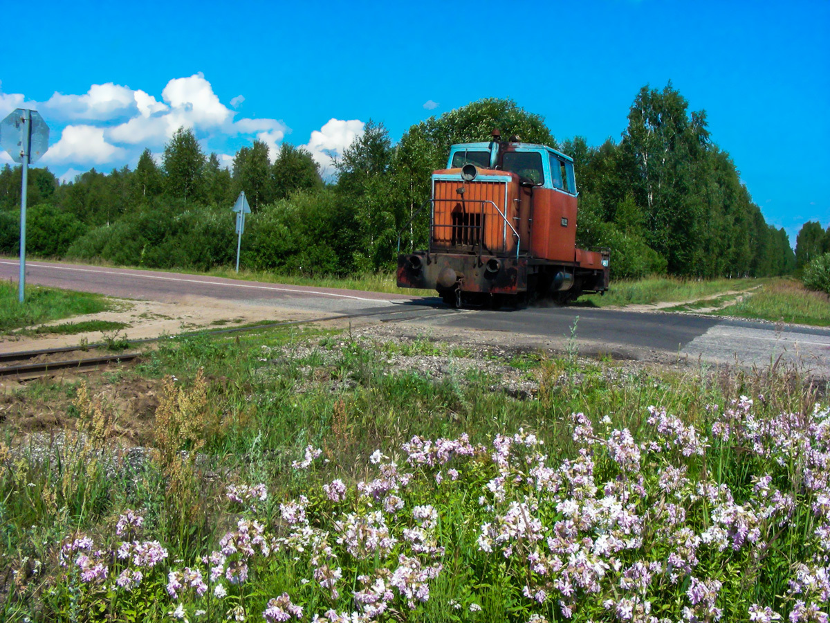 Post in memory of the Ryazanovskaya narrow-gauge railway ... - My, Narrow gauge, Locomotive, Trolley, Railway carriage, Railway, , , Rails, Longpost