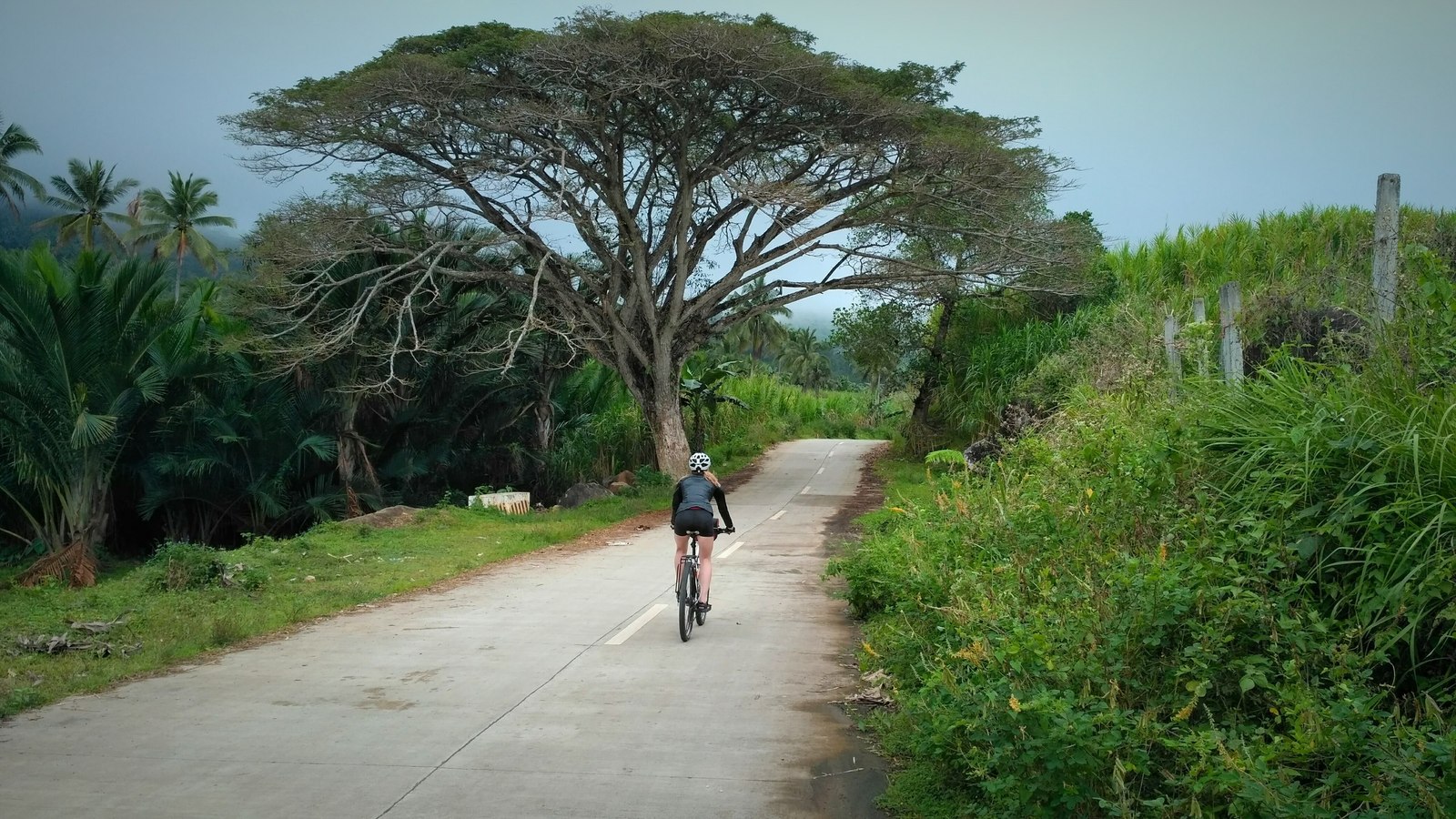 Bicycle Philippines 2017. Some photos from the trip. - My, Philippines, A bike, Travels, , Cebu, Bohol, Panglao, , Longpost