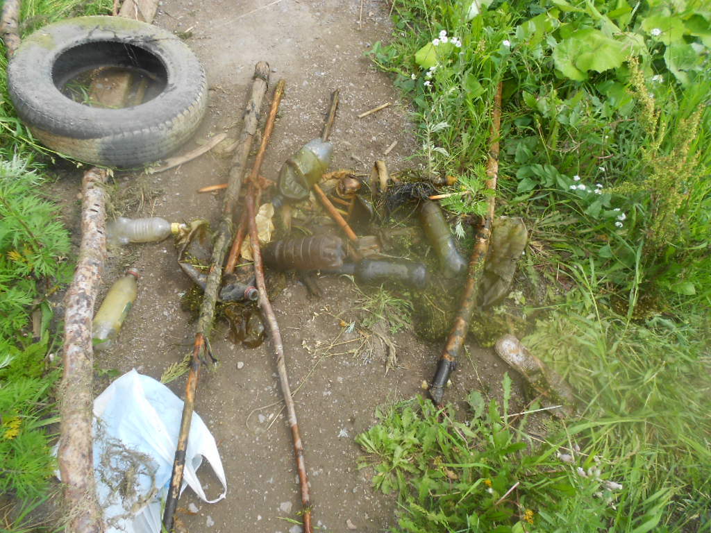 Cleaned the shore of the pond part 2 - My, The photo, Longpost, Chistoman, Garbage, Year of Ecology