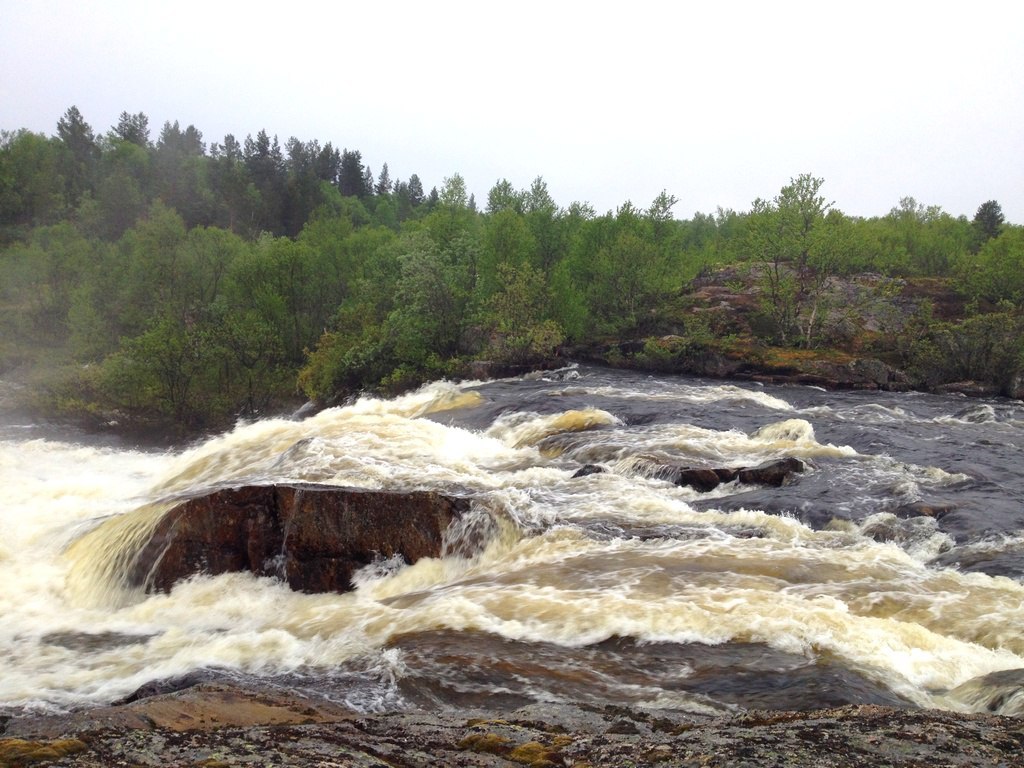 Nature. Curvy north. - My, Nature, Karelia is my summer nature, Far North