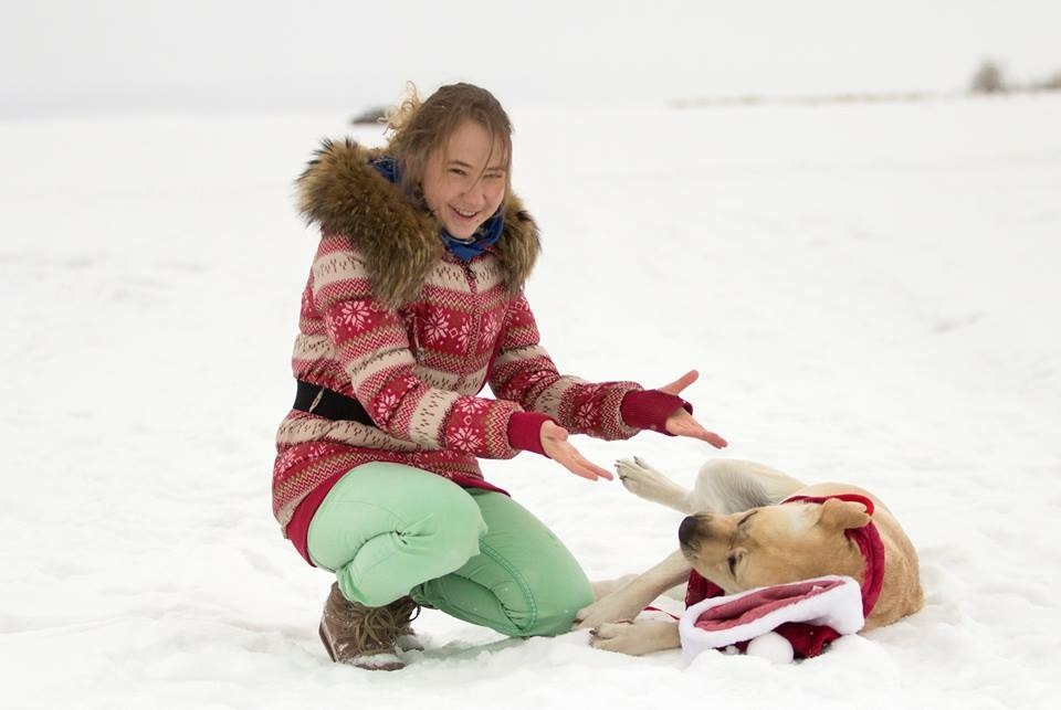 Trying to put a hat on a Labrador... - My, Labrador, New Year, Longpost, Fail, 