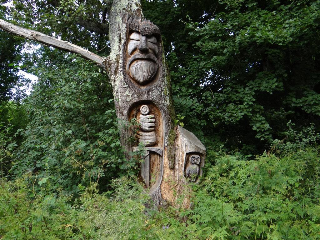 On guard of the forest - Wood carving, Forest, On guard, Reddit