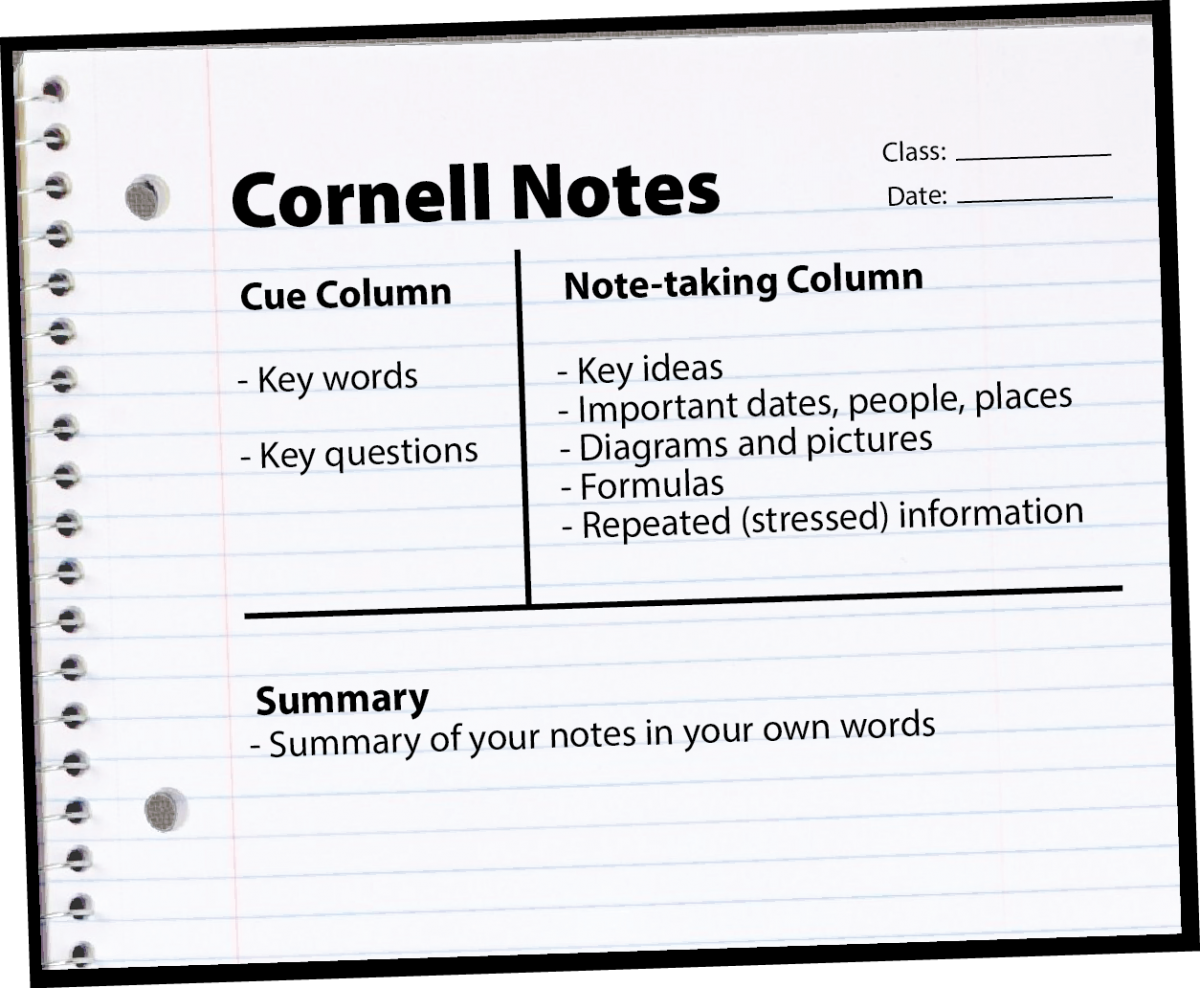 How to write notes so that in half a year you can analyze your scribbles. - My, , Studies, Abstract, University, Longpost