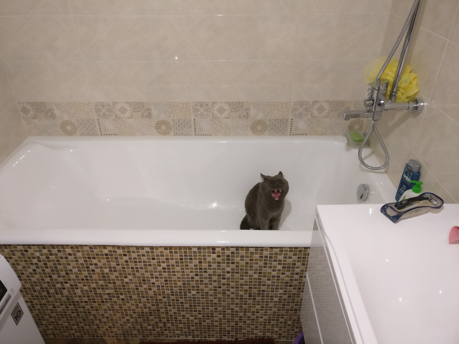 Caught - My, Bath, Suddenly, cat