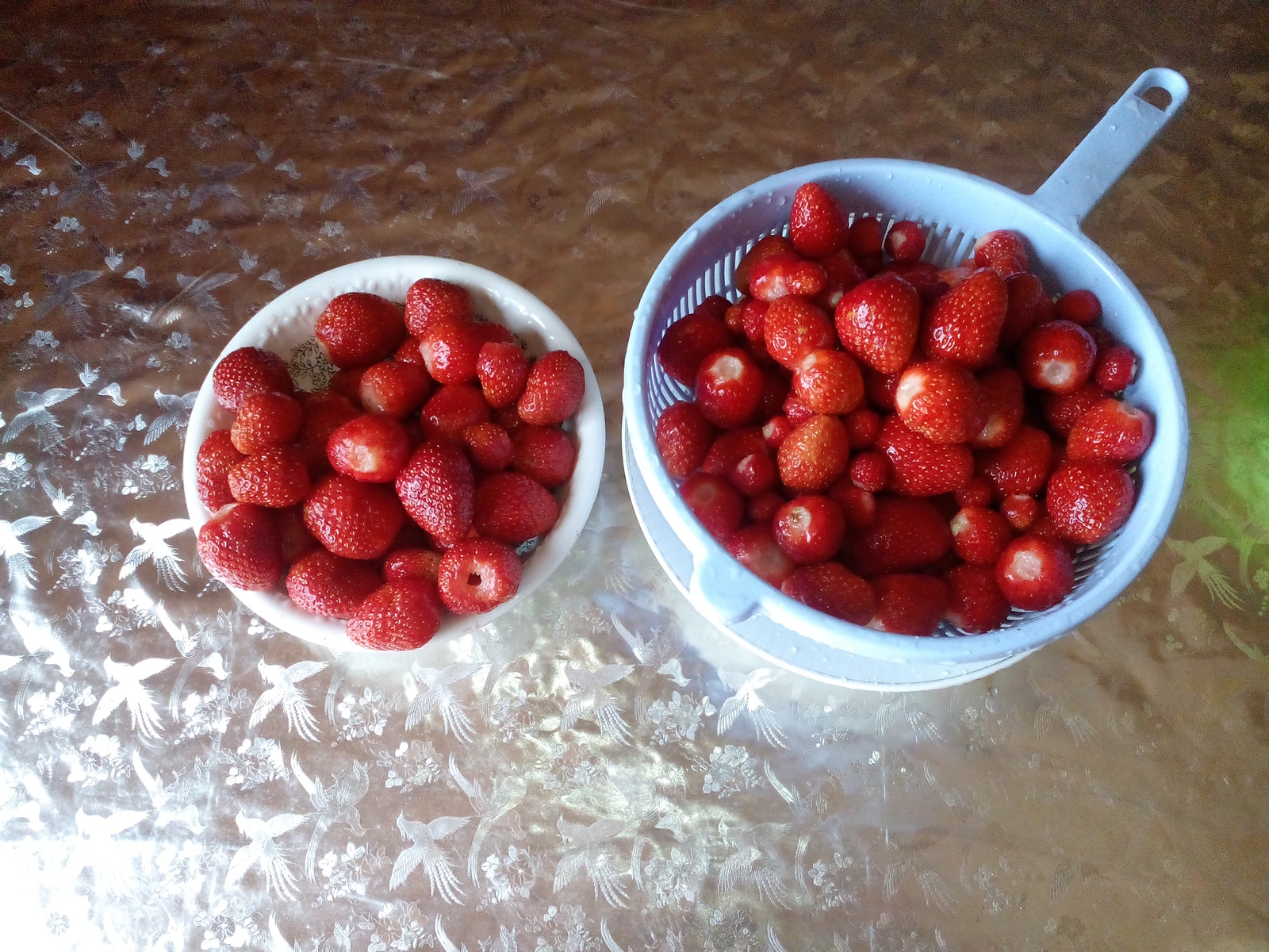 Strawberries in bulk - My, Strawberry, Photo on sneaker, Harvest, Strawberry (plant)