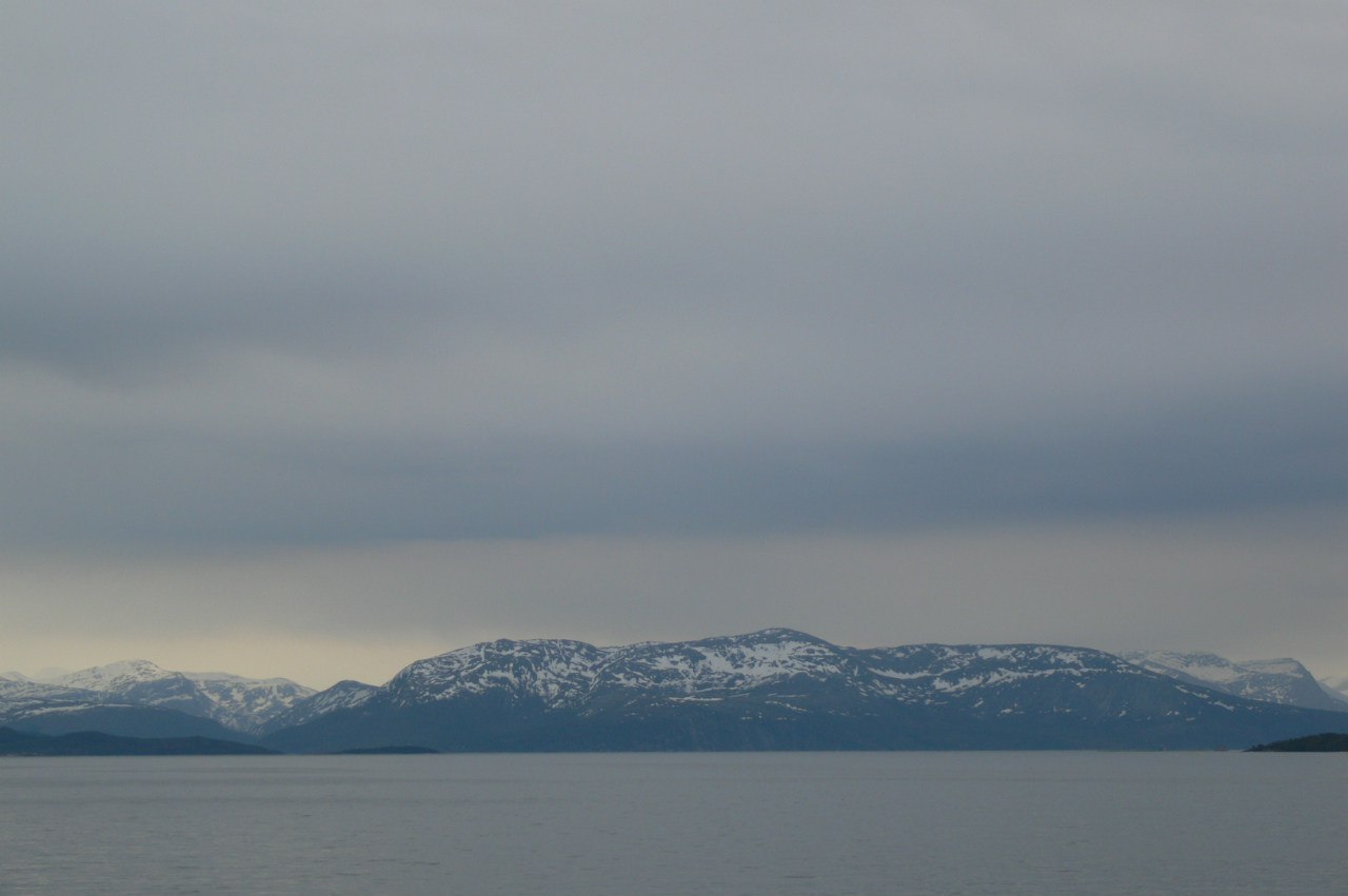 Northern Norway - My, Norway, The photo, Sea, The mountains, Reindeer, Longpost, , wildlife