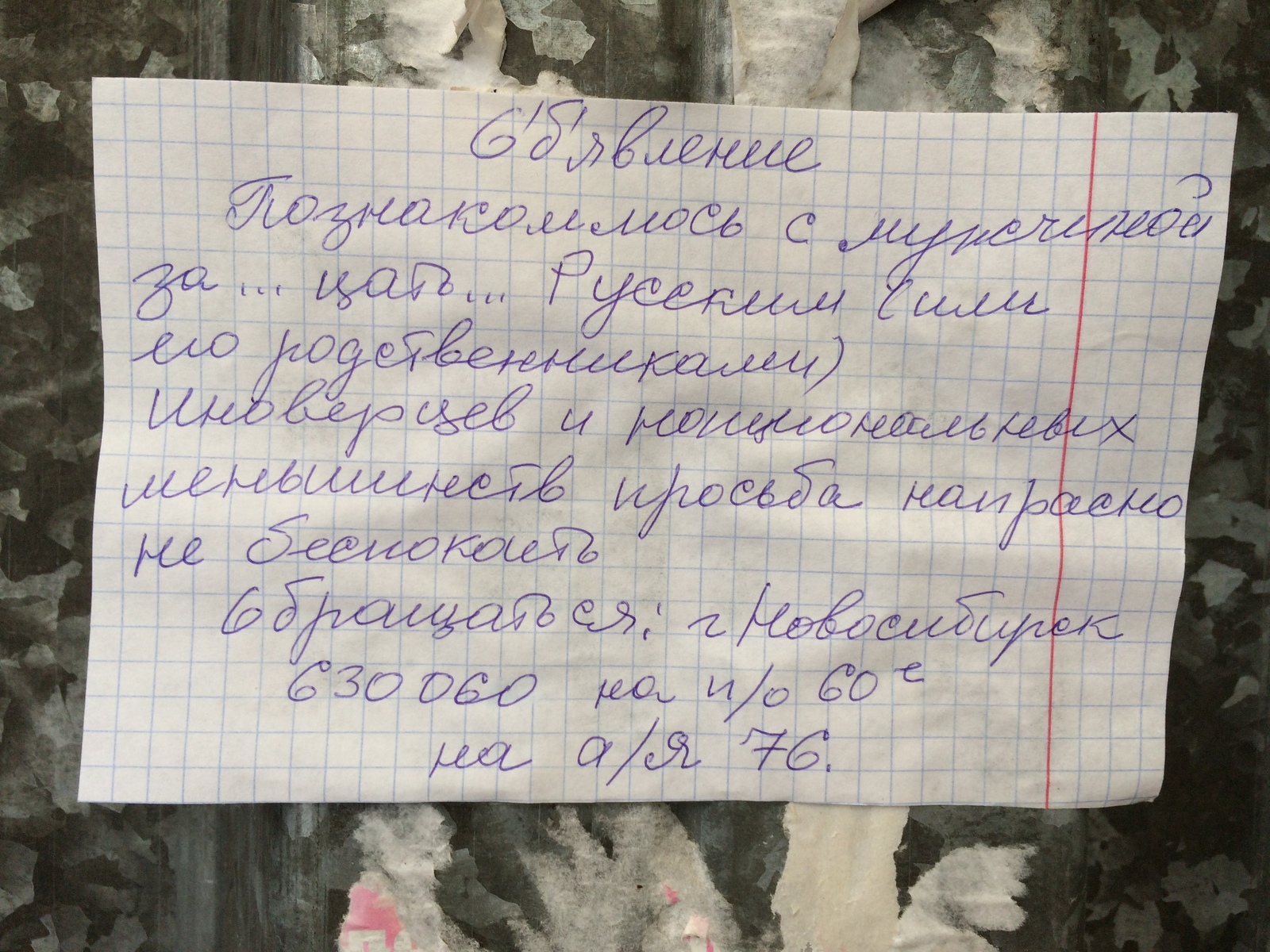 Found by me in the open spaces of Akademgorodok - My, , Acquaintance, Announcement, , Humor