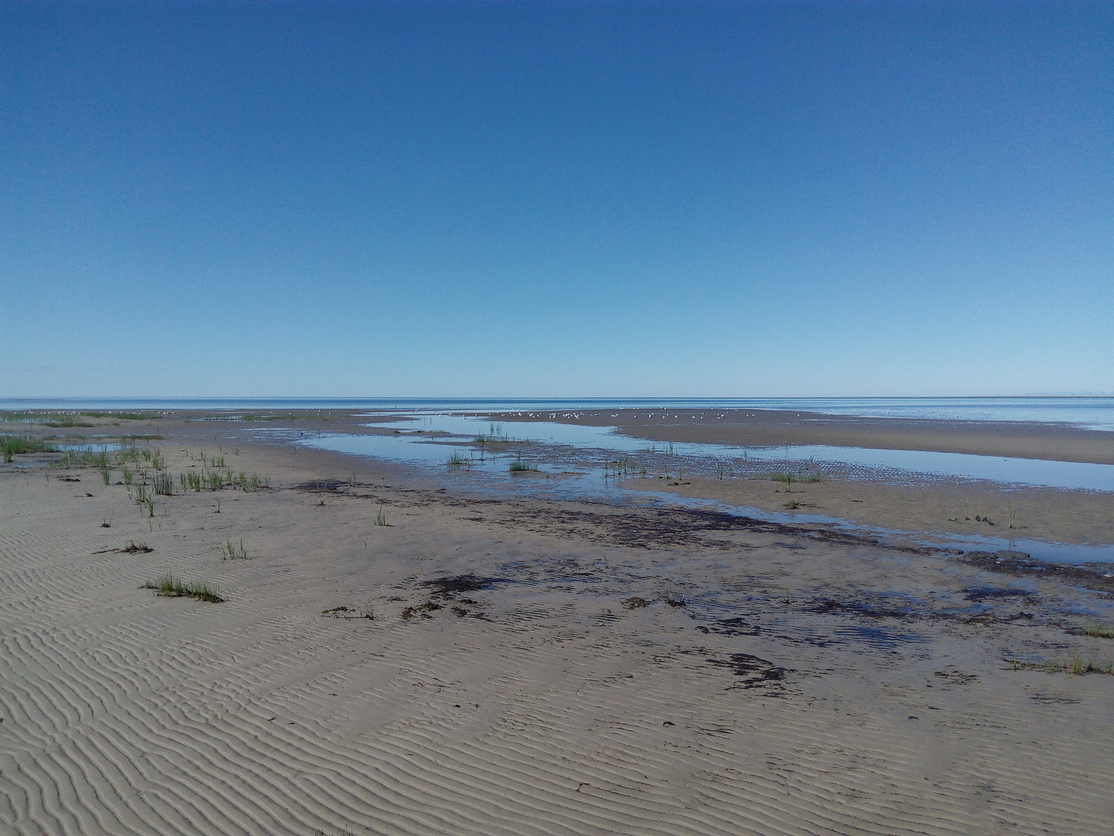 Summer walk along the coast along the White Sea - My, White Sea, Walk, Longpost