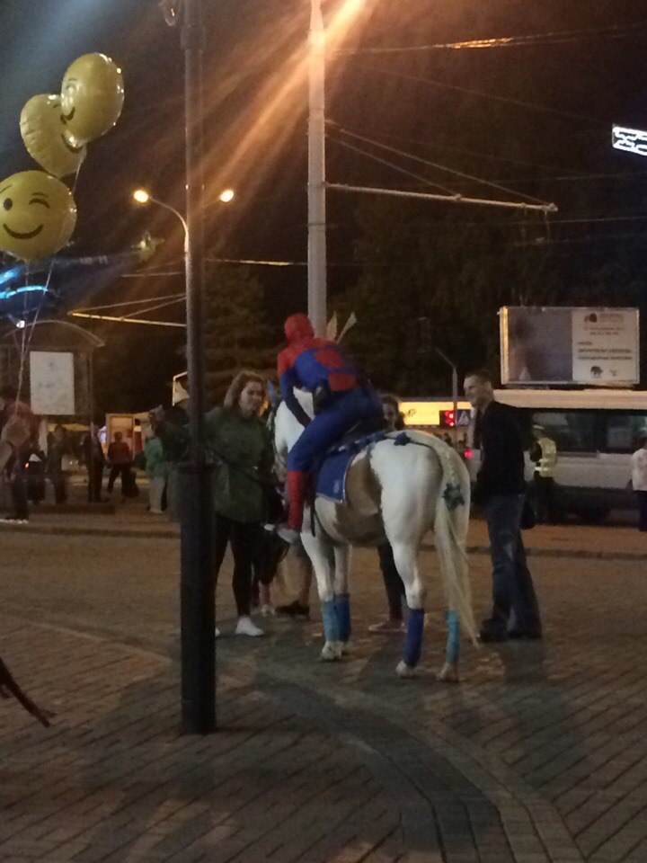When the web ended - Spiderman, Horses, Humor