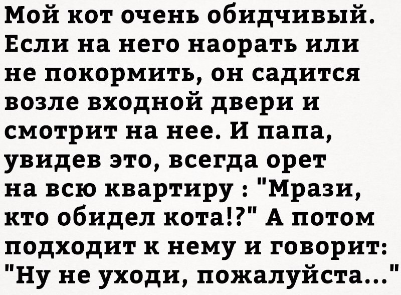 Кто котейку обидел? - Кот, Шерстяной хитрец