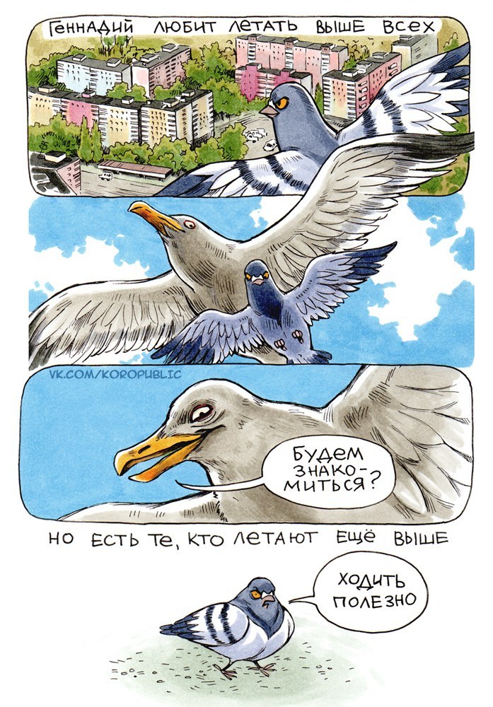 New friends - Comics, Pigeon Gennady, Koropublic, Pigeon, Humor