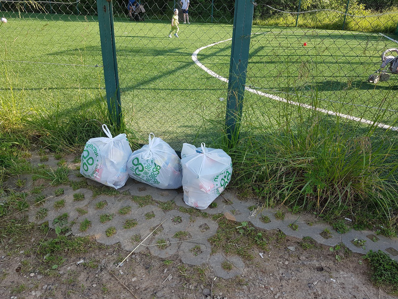 Removed football box - My, Chistoman, Football, Garbage, , Ecology, Clean forest, Longpost, Cleaning