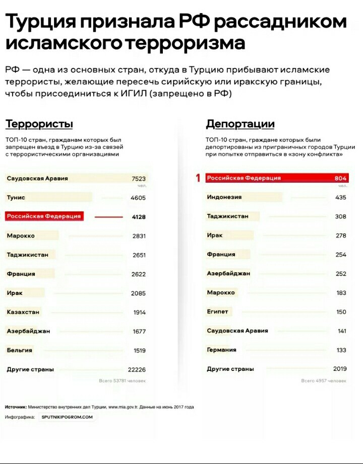 Турция признала РФ рассадником исламского терроризма - Политика, Россия, Турция, ИГИЛ, Террористы, Спутник и погром, Длиннопост