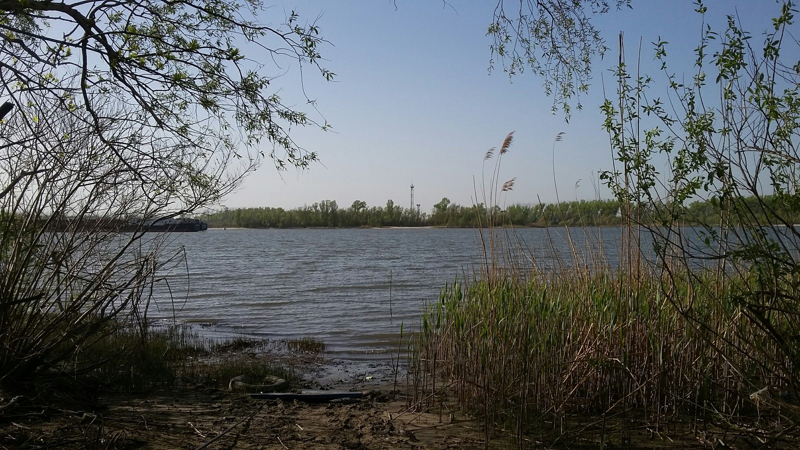 Fishing on the Don. - My, Fishing, Don River, Rostov-on-Don, Summer, Beach, Nature, Longpost