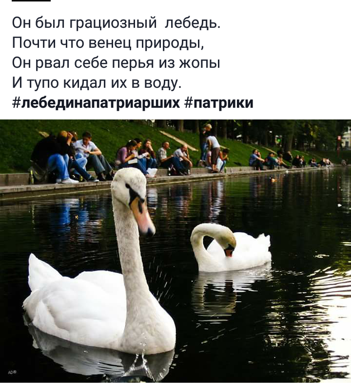 Patriarchal - My, , Patriarchal Ponds, Moscow