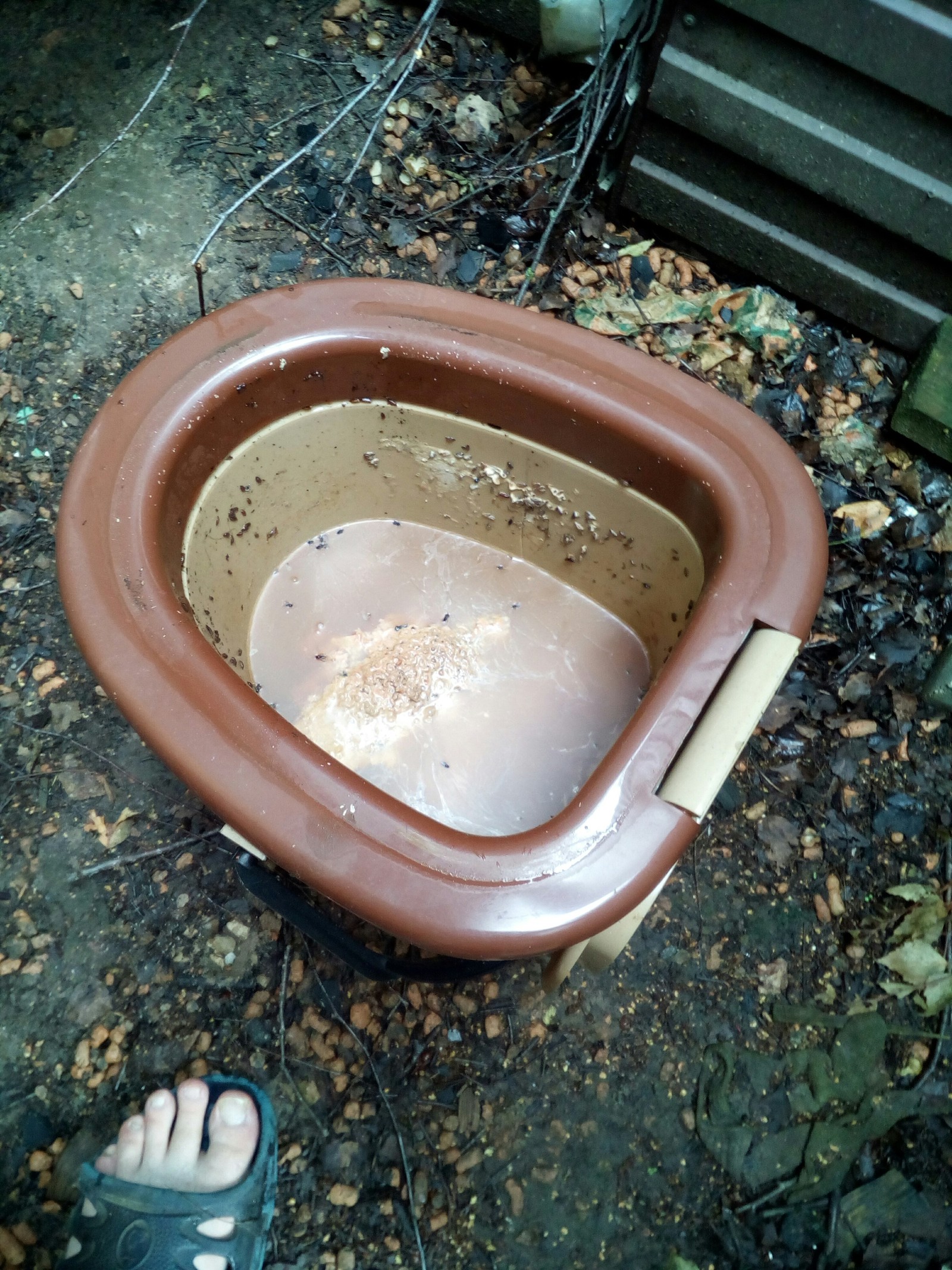 Guess what's in the bucket? - My, Liquid, Water, Image, Drink water, Longpost