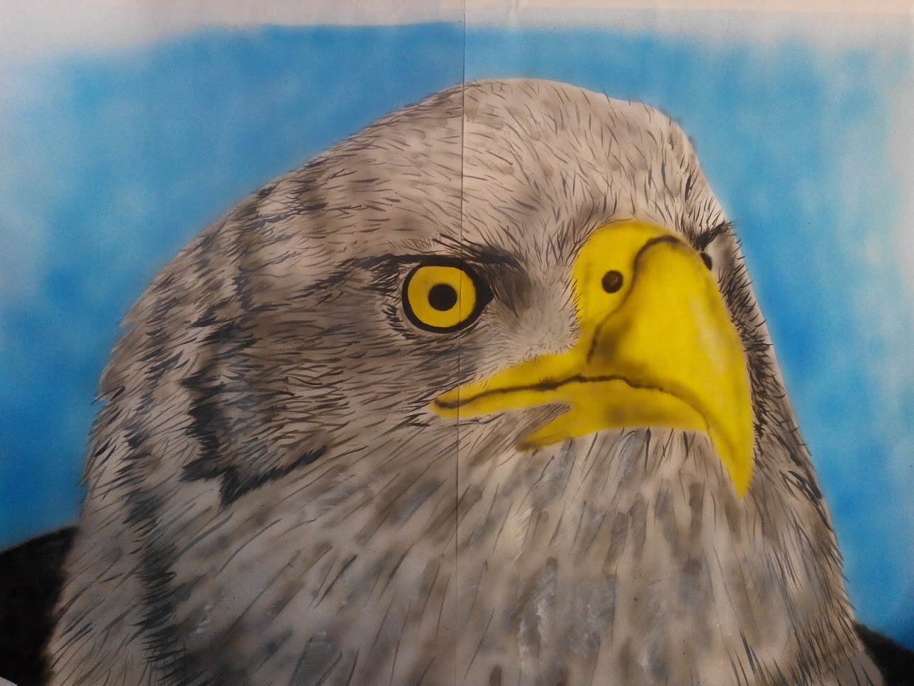 Airbrushing animals from a weak eagle to a fit raccoon - My, Airbrushing, Longpost, Animals, Hobby