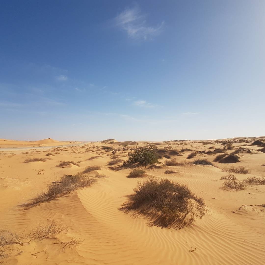 Crossing the Sahara. Russian fishermen go fishing. Africa. Mauritania. - My, Chronicle, Sea, Sailors, Sea life, Fishermen, Trawler, Africa, Fishing, Longpost, 