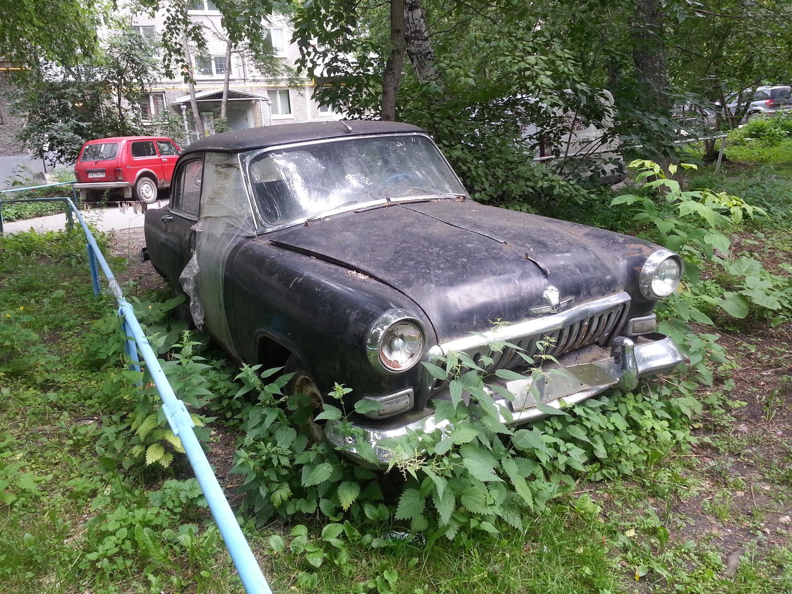 There is nothing sadder than a beast locked in a cage. - My, Gaz-21, , Story, the USSR, Courtyard, Retro car, Yekaterinburg, The street